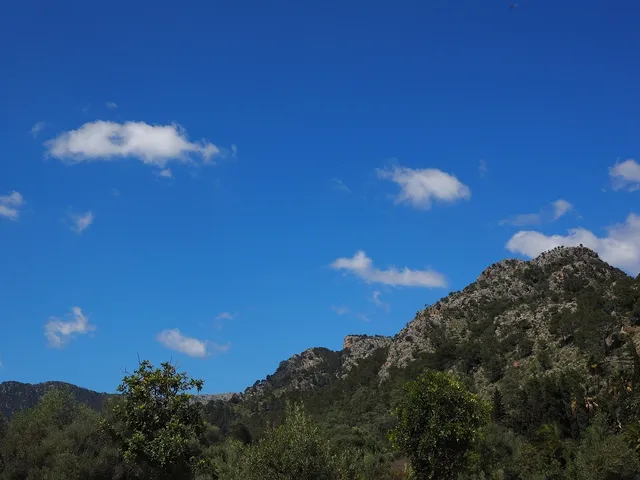www.angeltourenspanien.de Nachrichten, Videos und Berichte von Mallorcadiario.com auf Angeltouren Spanien (Pescaturismo)