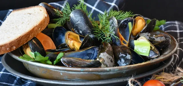 angeltourenspanien.de Ausflüge mit Muschelzüchter in Redondela Galicien