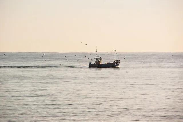 Ausflüge zum Fischereihafen und Fischmarkt in Galicien mit Angeltoren