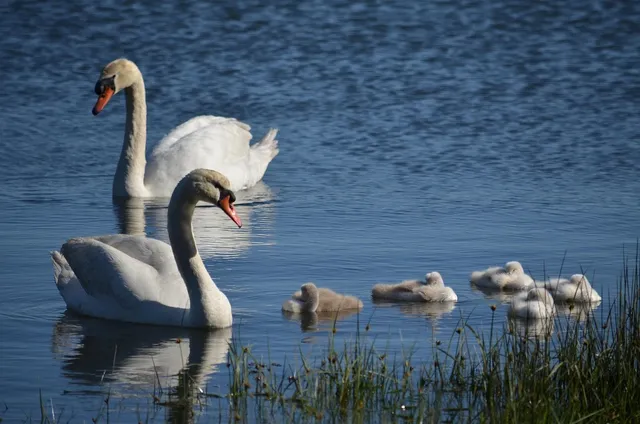 pechetourisme-espagne.fr excursions pêche à Mar Menor