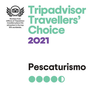Angeltouren Galicien Preis Travellers' Choice von Tripadvisor